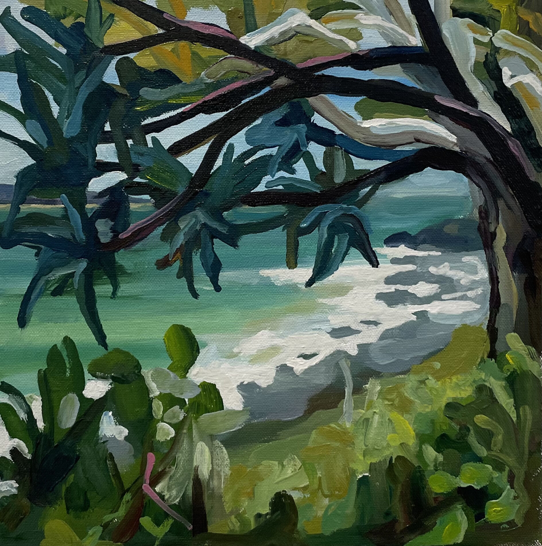 MINNIE TAYLOR quick painting noosa national park