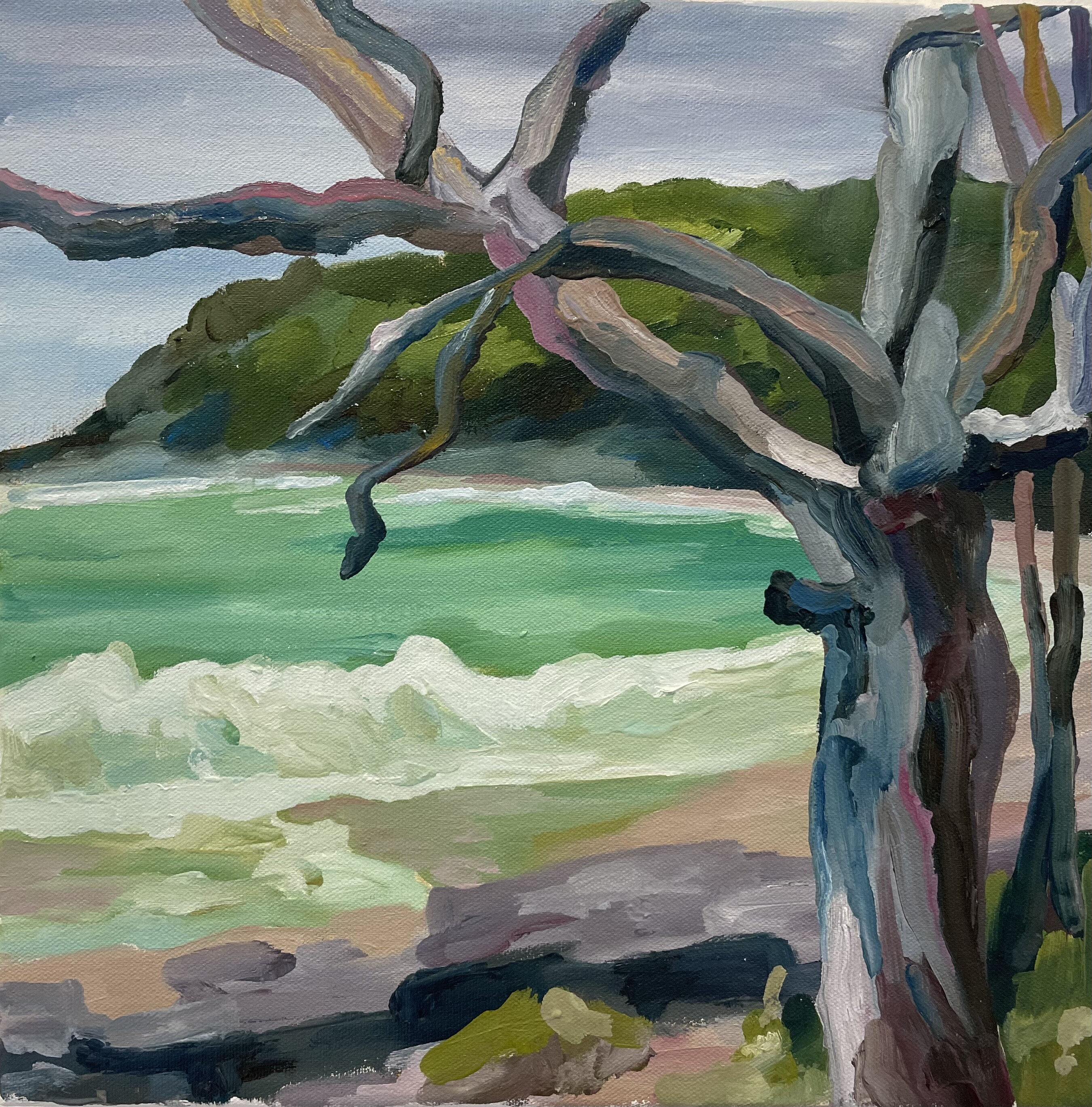 MINNIE TAYLOR quick painting noosa tea tree bay