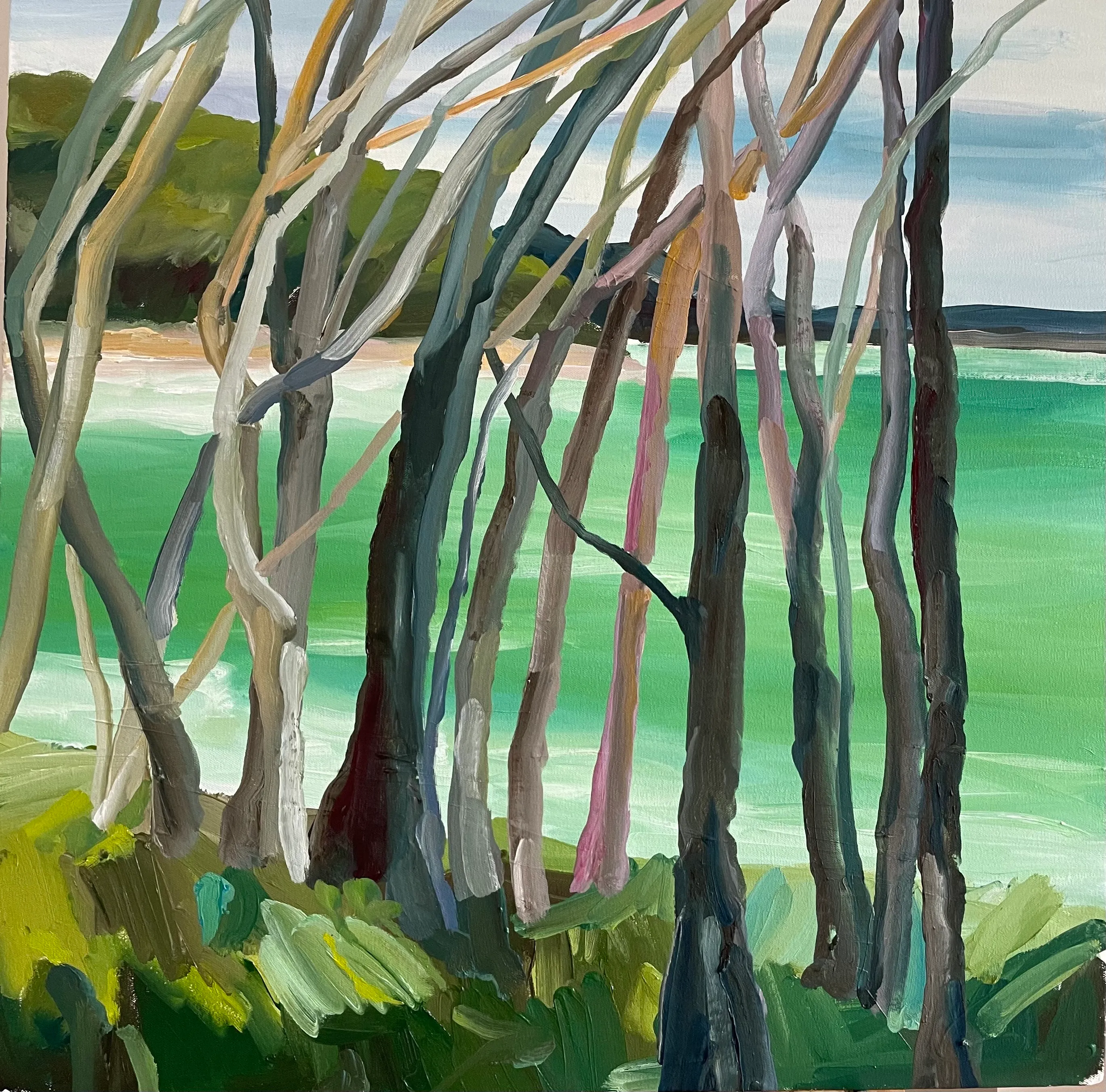 MINNIE TAYLOR quick painting noosa tea tree bay