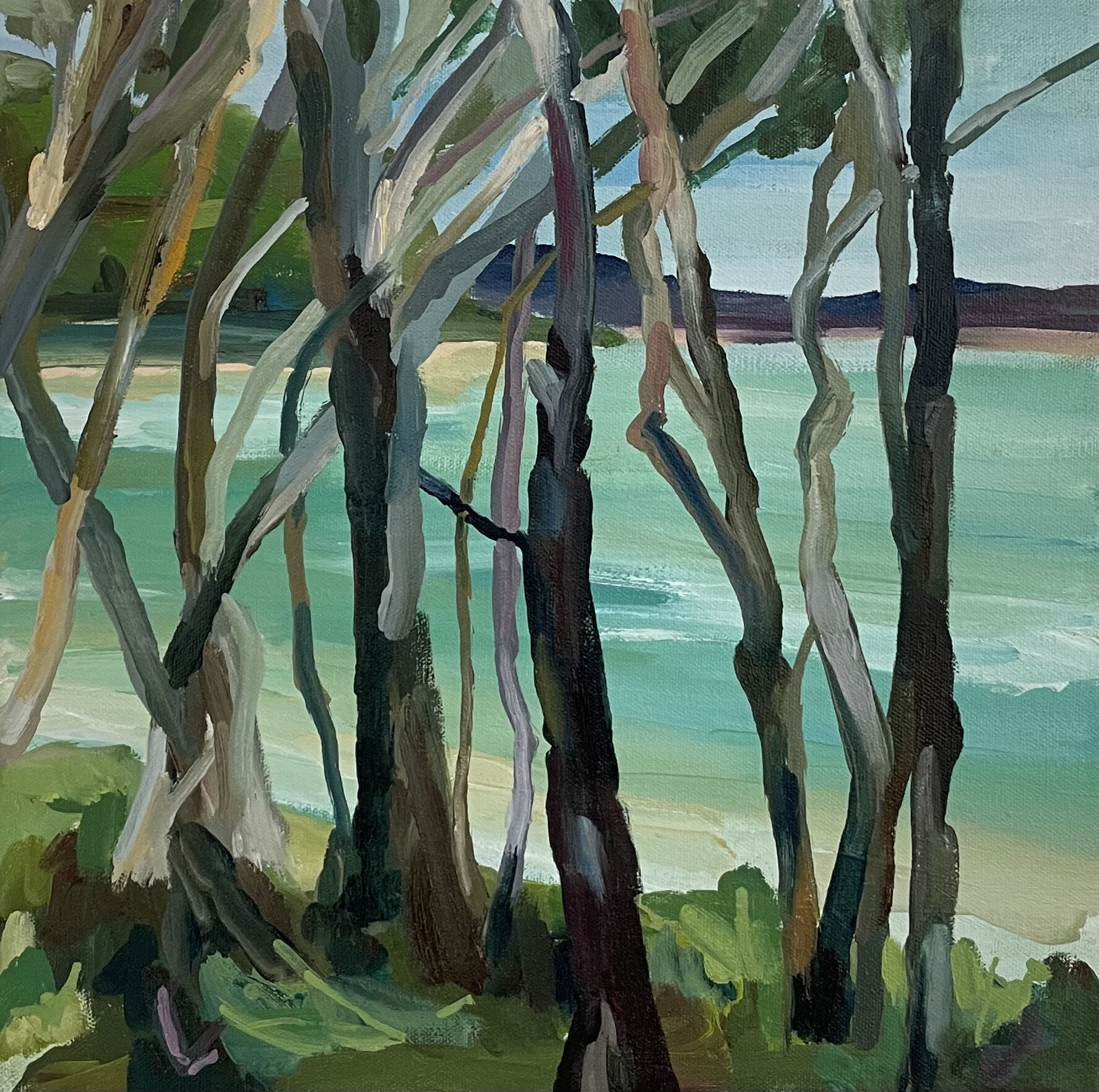 MINNIE TAYLOR quick painting noosa tea tree beach